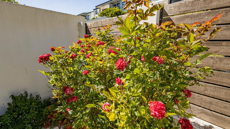 3 Bedroom Property for Sale in Richwood Western Cape